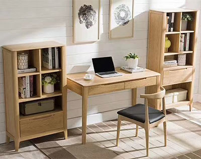 Bookcase and Desk Set